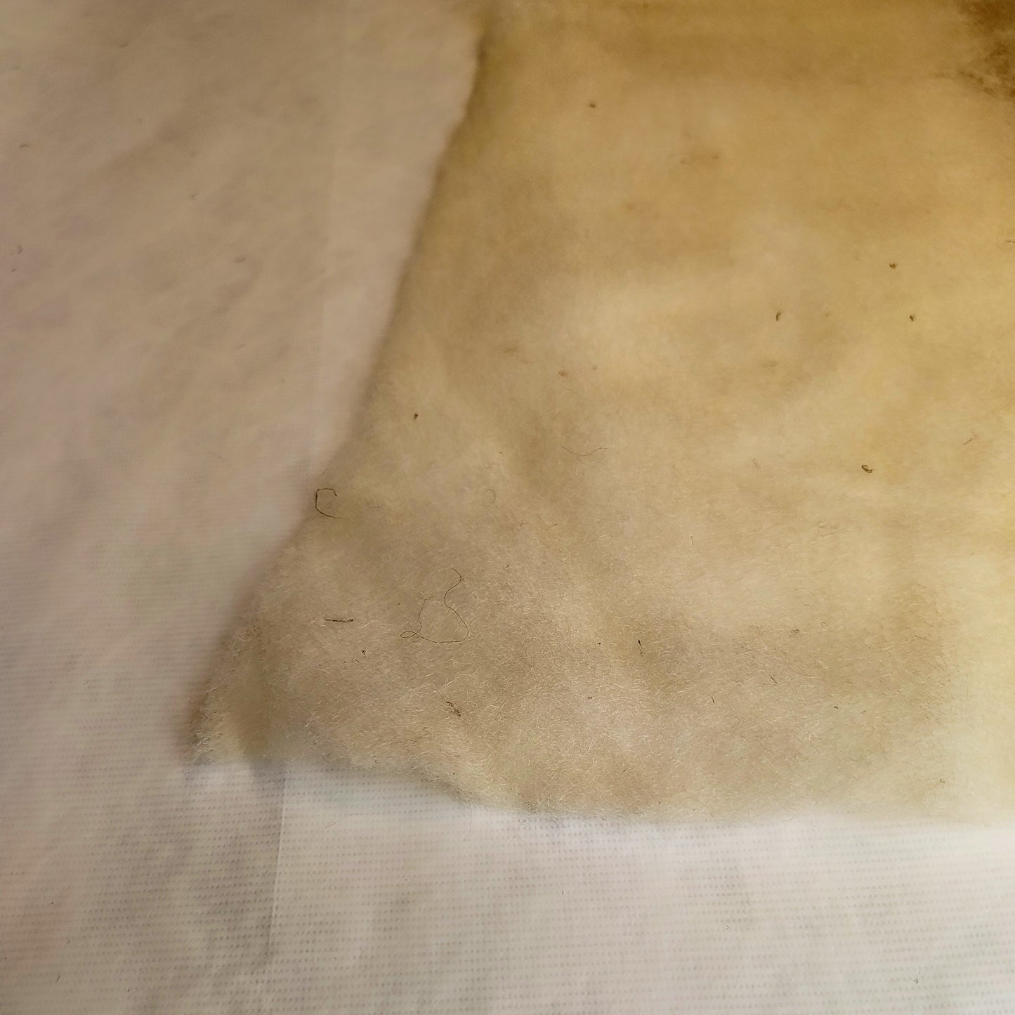 FÅRTEX® Isolering från Wool Rebel